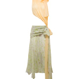 WPF26DR31 d1